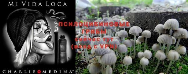 эйфоретик Армянск