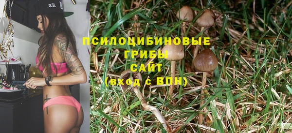 прущие крисы Алексин