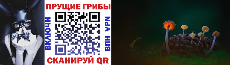 mega как зайти  Чердынь  Псилоцибиновые грибы прущие грибы 